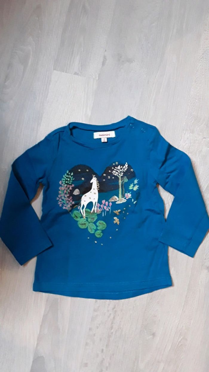 Tee shirt catimini 2ans