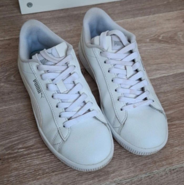 Puma blanches