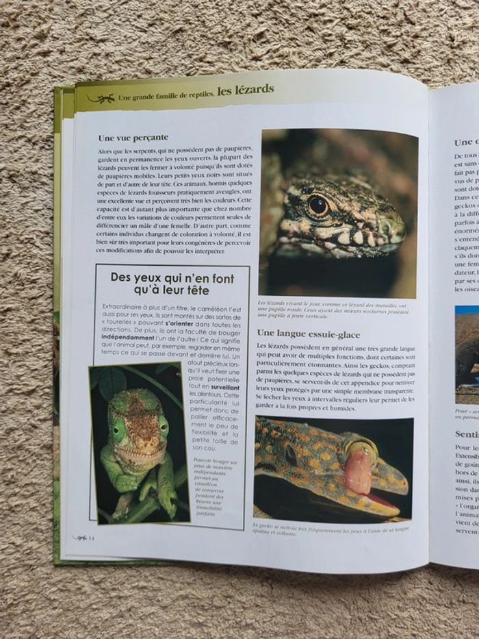 Livre documentaire enfant Une grande famille de reptiles, les lézards Atlas Junior des Animaux - photo numéro 7