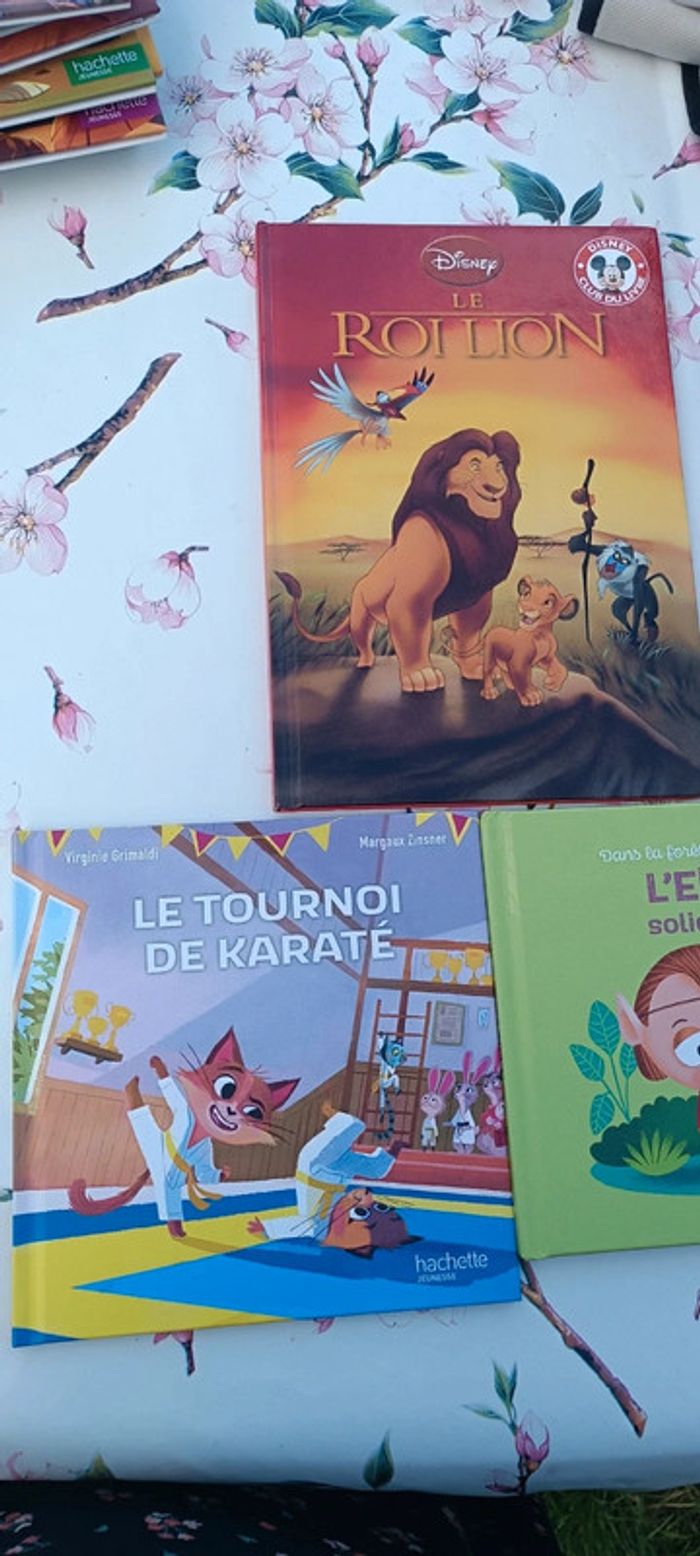 Lot 15 livres - photo numéro 7