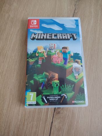 Minecraft switch 