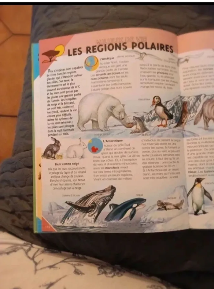Encyclopédie La classe nature 7/9 ans bon état - photo numéro 5