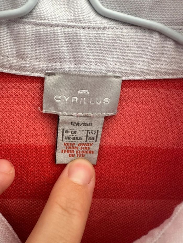 Polo cyrillus - photo numéro 4