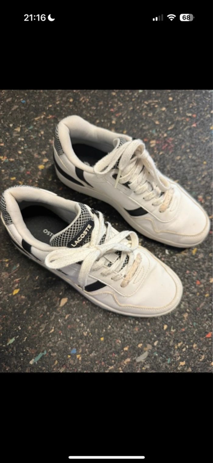 Basket Lacoste