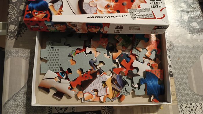 Puzzle ladybug