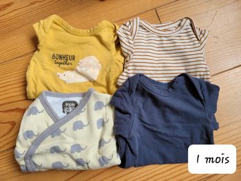 Lot de 4 bodies manches longues (1 mois)