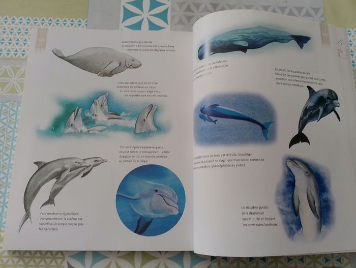 Dessiner et peindre les animaux - photo numéro 7