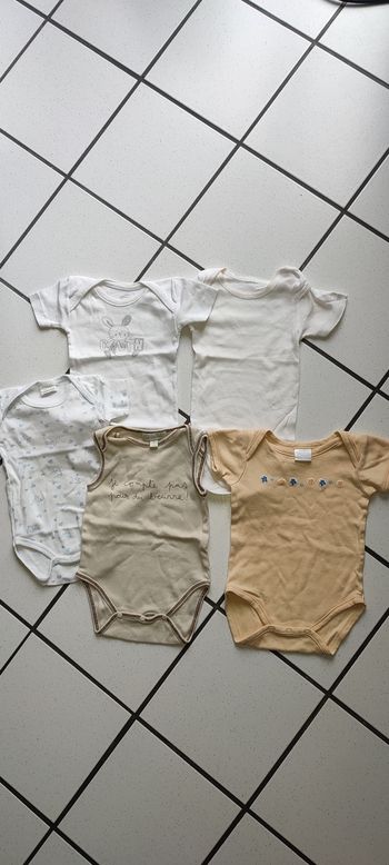 Lot 5 bodies manche courte 3 mois