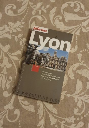 Petit futé  Lyon 2009