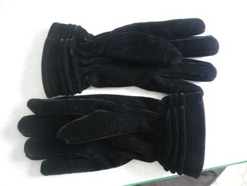 GANTS