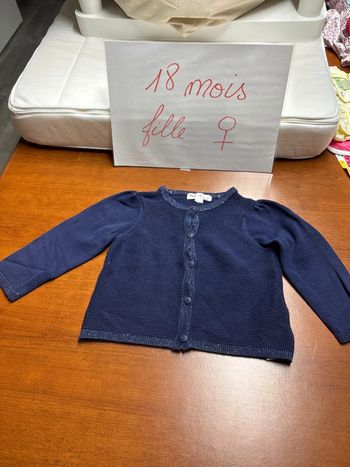 Gilet bleu avec paillettes