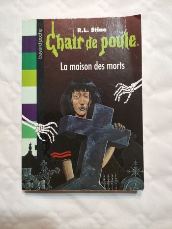Livre Chair de  poule n°6