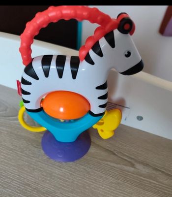 Zèbre D'activités Ventouse 