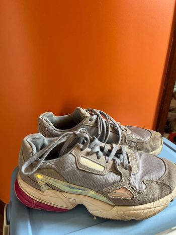 Adidas falcon
