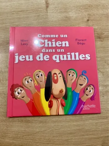 Livre enfant Comme un chien dans un jeu de quilles