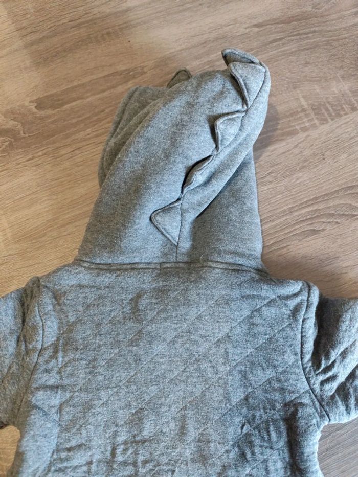 Sweat a capuche 18 mois - photo numéro 4