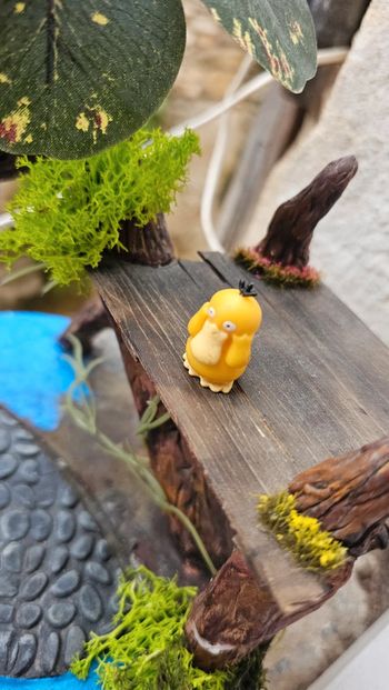 Super petite figurine Pokemon Nintendo Psykokwak