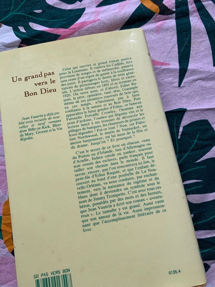 Un grand pas vers le bon dieu - photo numéro 4