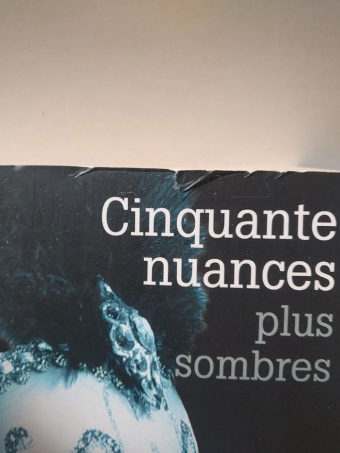 50 nuances plus sombres - photo numéro 2