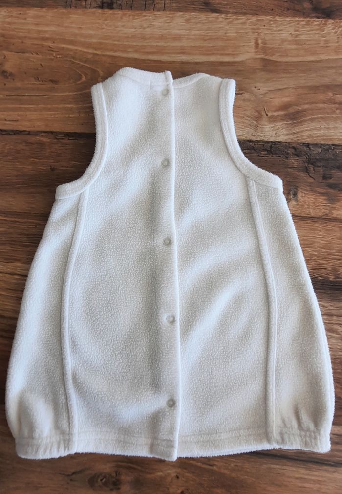 Pobe polaire - photo numéro 2