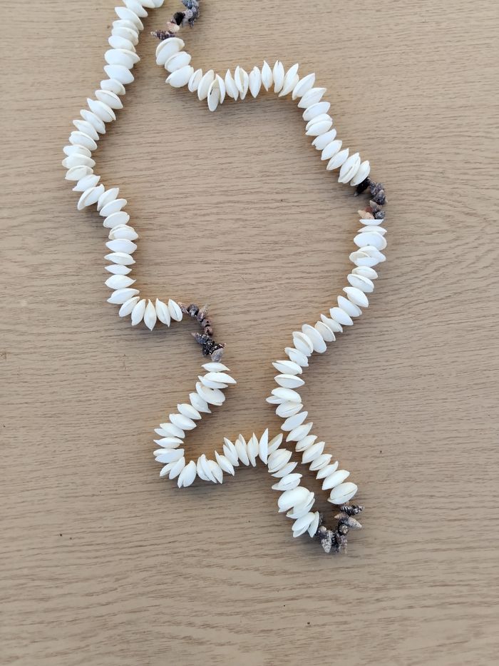 Collier coquillage