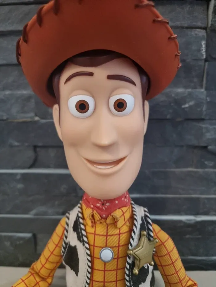 Woody signature collection - photo numéro 2