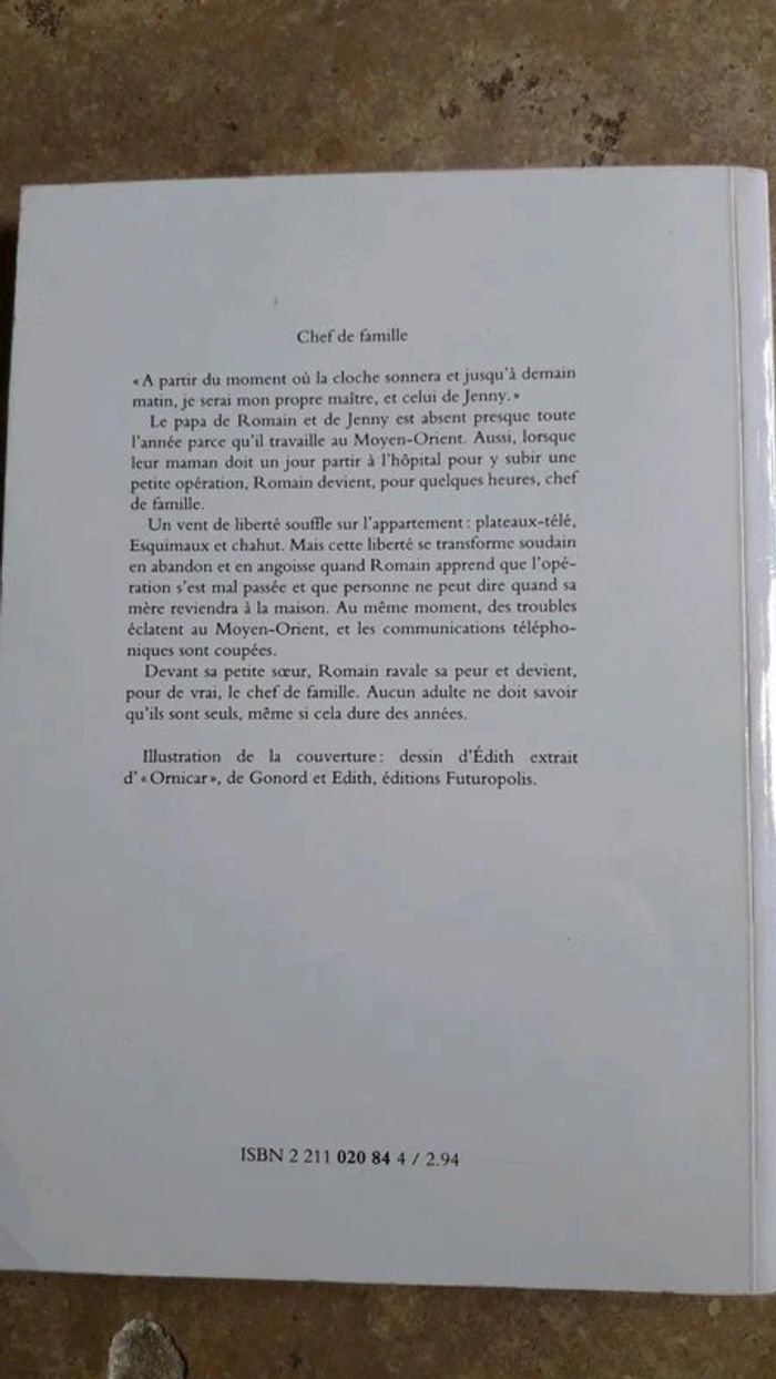 " chef de famille " de Brigitte Peskine / l'école des loisirs. - photo numéro 2