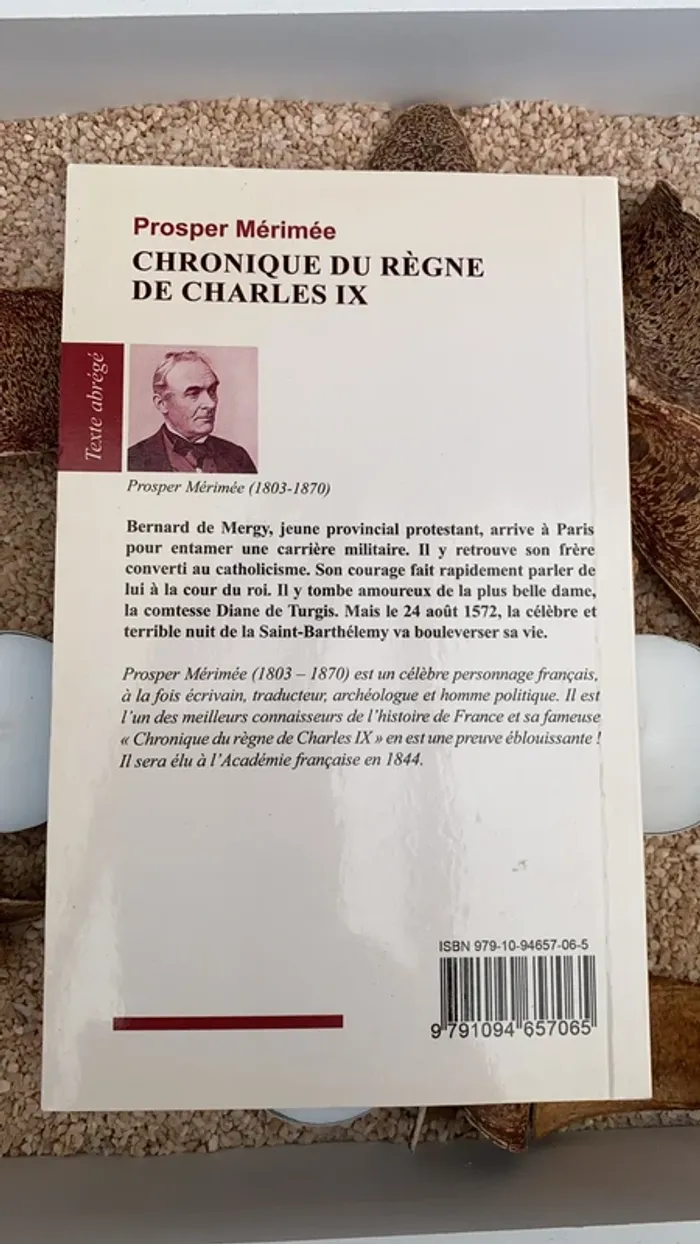 Prosper Mérimée Chronique du règne de Charles IX - photo numéro 2