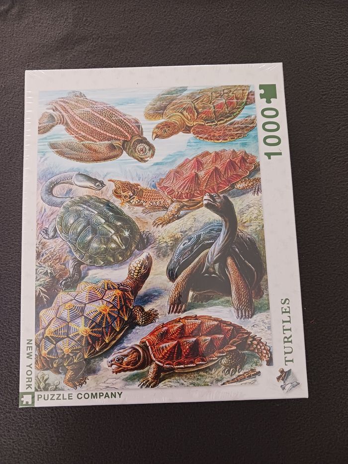 Puzzle Turtles 1000 pièces