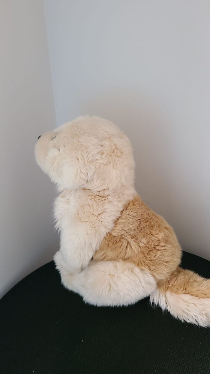 doudou chien - photo numéro 2