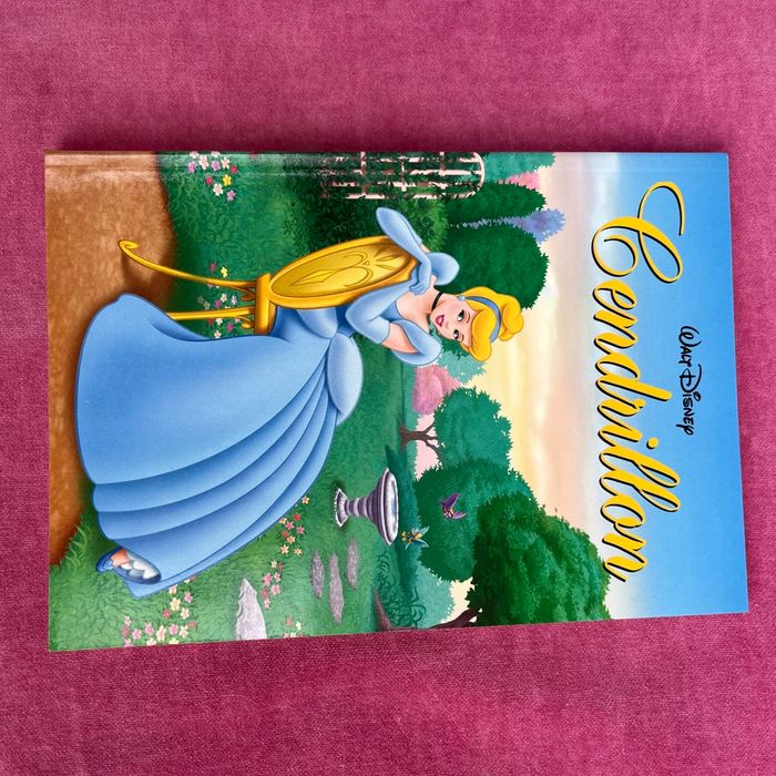 4 livres de  Disney  princesse  avec le coffret . - photo numéro 5