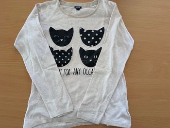 Pull léger fille très bon état 10 ans 