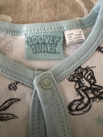 Grenouillère LooneyTunes