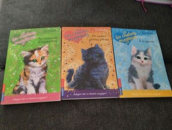 Livres neufs  Les chatons magiques