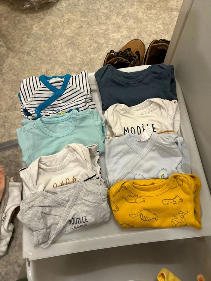 8 bodies