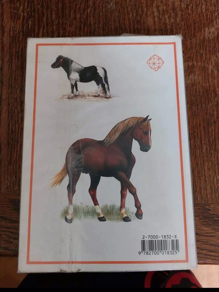 Livre cheval - photo numéro 3