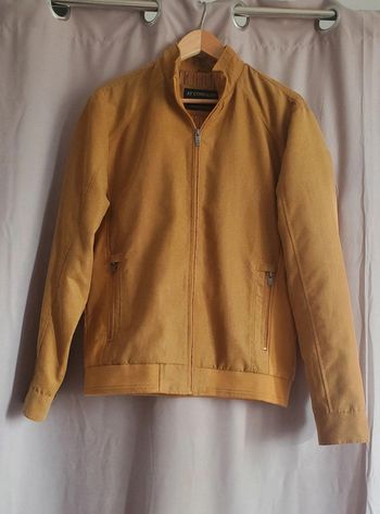 Veste