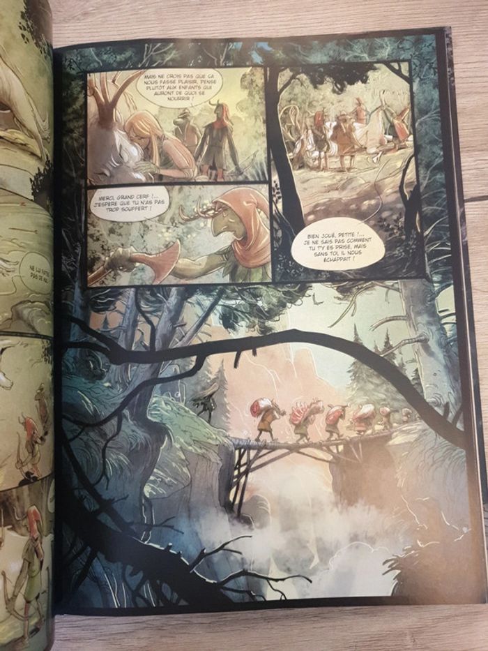 Bande dessinée Brindille - photo numéro 6