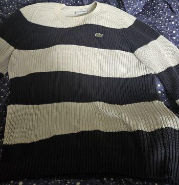 Pull Lacoste 