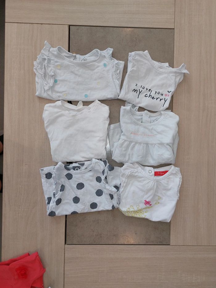 Tee shirt / Tex / 6 mois