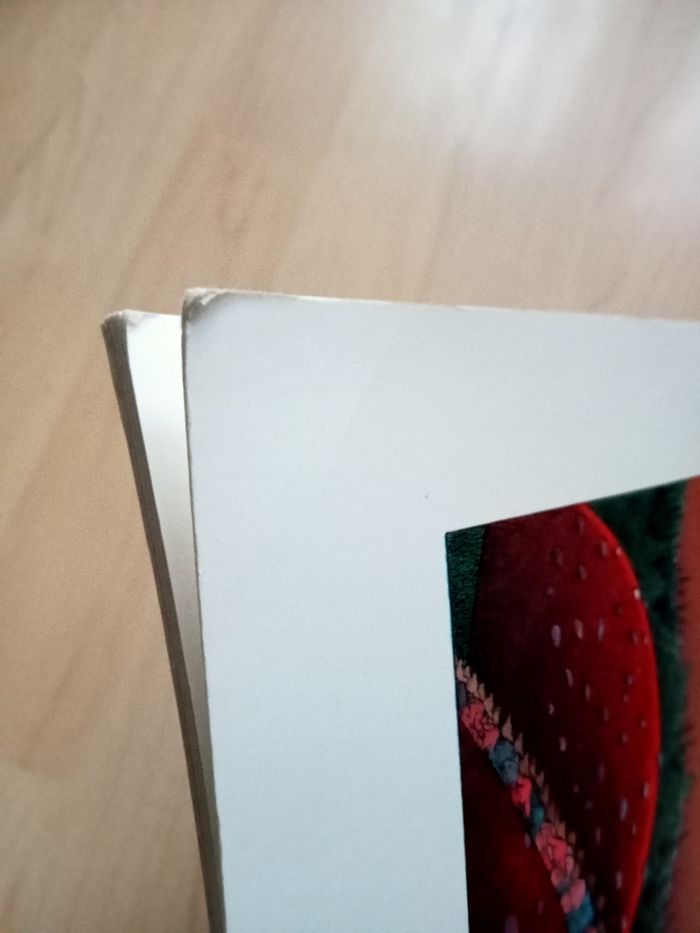 Livre enfant Pétronille - photo numéro 6