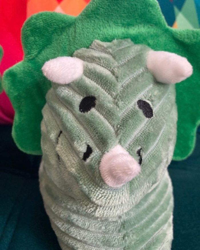 Chaussons dinosaures - photo numéro 4