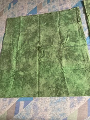 Lot 2 taies d oreillers