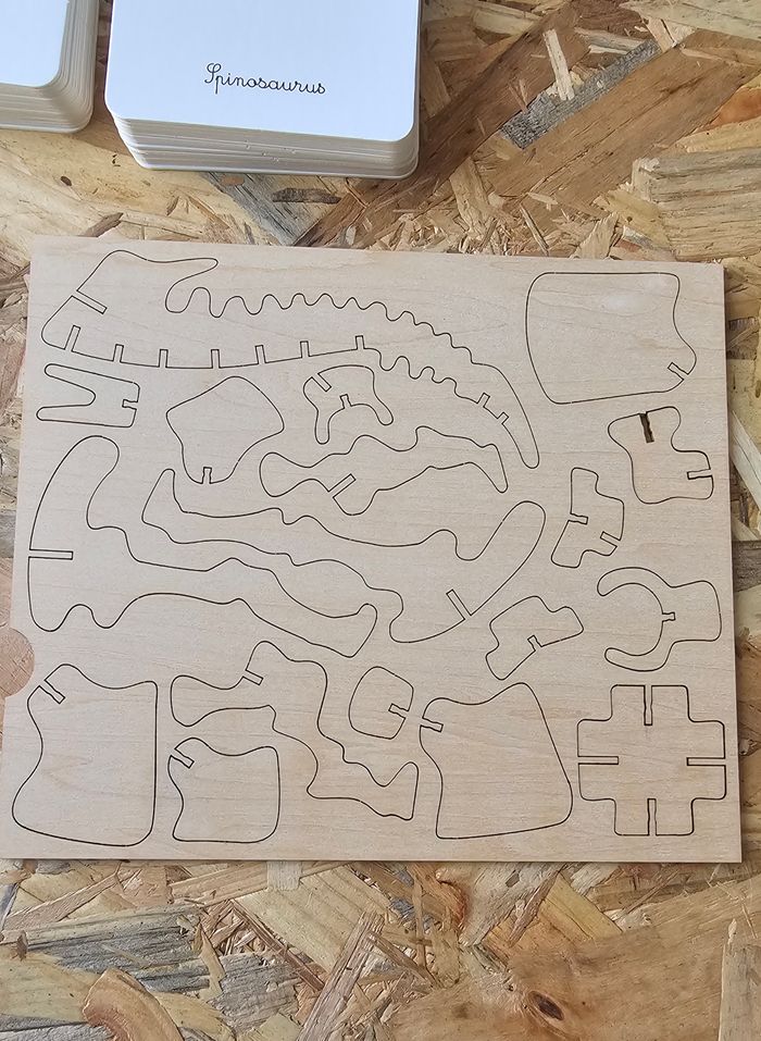 Mon coffret Montessori Dinosaures - photo numéro 9