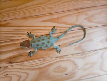 Grande figurine lézard réaliste - 30 cm