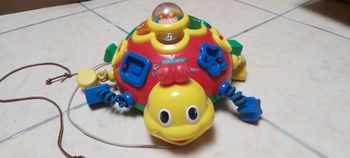 Coccinelle des formes