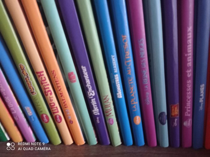 Livres Disney - photo numéro 3