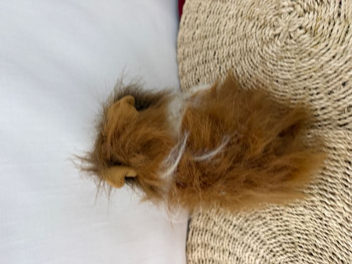 peluche chien colley style Lassie marron blanc - photo numéro 4