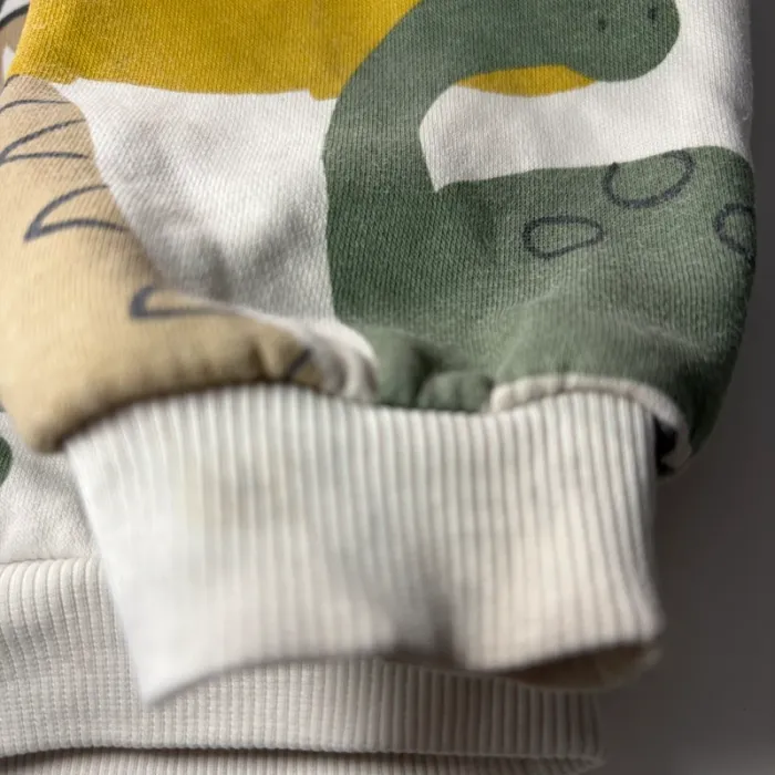 Pull dinosaures tape à l’œil - photo numéro 2