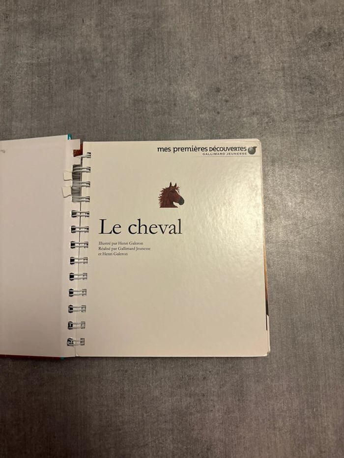 Livre mes premières découvertes le cheval - photo numéro 2